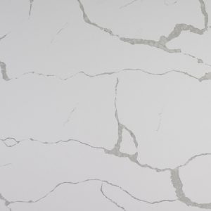 Calacatta Vagli Nuvo Quartz Countertops-1